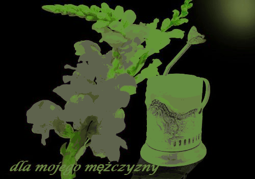 Kwiaty dla mojego mężczyzny
